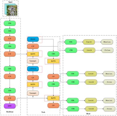 The transmission line foreign body detection algorithm based on weighted spatial attention